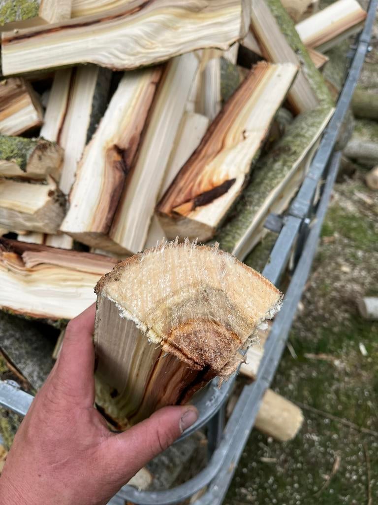 Brandhout wilge en populaire, Ophalen