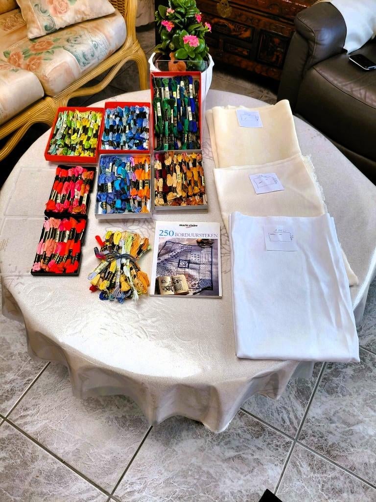 Complete borduurset – ideaal voor hobbyisten!, Ophalen of Verzenden