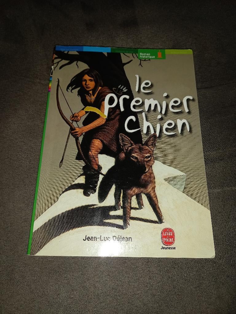 Livre le premier chien, Enlèvement ou Envoi