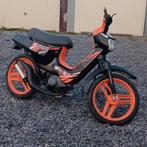 Honda Wallaroo Classe A 1989, Enlèvement, Honda