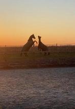 Weide gezocht, Dieren en Toebehoren