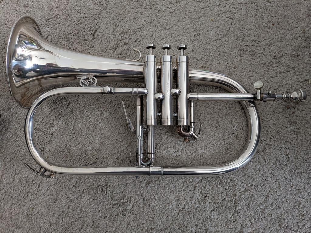 Bugel, Travis James, Musique & Instruments, Enlèvement ou Envoi, Utilisé, Autres types, Avec valise