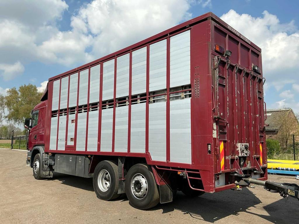 Scania 124G 420 Veetransport Vrachtwagen, Scania, Overige brandstoffen, Bedrijf, Te koop