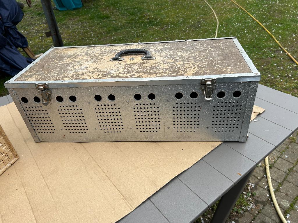 Transport mand duiven