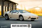 Lotus Esprit Turbo SE 1990 | Route 66 auctions, Autos, Achat, Entreprise, Boîte manuelle, 2 portes