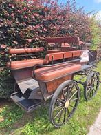 koets (6 personen), Dieren en Toebehoren, Gebruikt, Overige typen, Paard