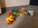 Lego Duplo verzorger met dieren, olifant, giraf, ijsbeer, Kinderen en Baby's, Ophalen of Verzenden, Duplo