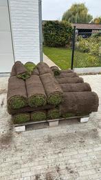 Gratis af te halen - 36 lopende meter, Tuin en Terras, Gras en Kunstgras, Ophalen, Nieuw, 20 m² of meer, Gras