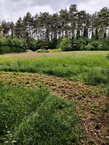 Weide, tuingrond, hobbygrond te huur Halle Zoersel