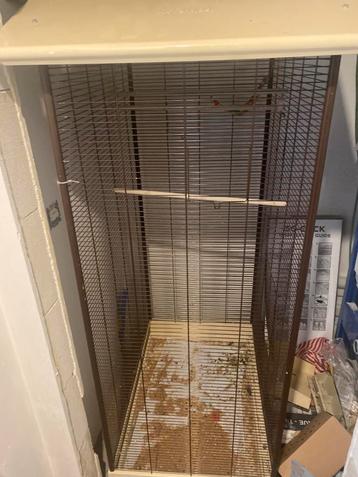 Een groot vogel kooi, Dieren en Toebehoren, Ophalen of Verzenden, Zo goed als nieuw