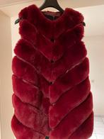 Pelsen body wijnrood, Kleding | Dames, Bodywarmers, Ophalen of Verzenden, Zo goed als nieuw