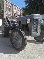 AV-tractor Massey Ferguson TEA20 1953, Zakelijke goederen, Ophalen, Oldtimer, Massey Ferguson