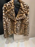 Veste hiver femme, Kleding | Dames, Jassen | Winter, Ophalen, Zo goed als nieuw