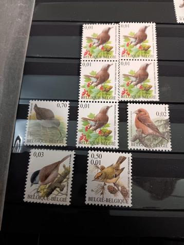 Lot de timbres belges, oiseaux, buzin 