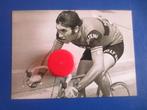wielerfoto team molteni  eddy merckx, Verzenden, Zo goed als nieuw