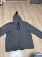 Maat large, Kleding | Heren, Truien en Vesten, Ophalen of Verzenden, Gedragen