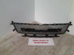 GRILLE Range Rover Evoque II (LZC / LZS / LZH) (01-2018/-), Auto-onderdelen, Gebruikt, Land Rover