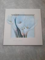 2 schilderijen met bloem gesigneerd, mooi ensemble, Ophalen, 50 tot 75 cm, Zo goed als nieuw, Schilderij
