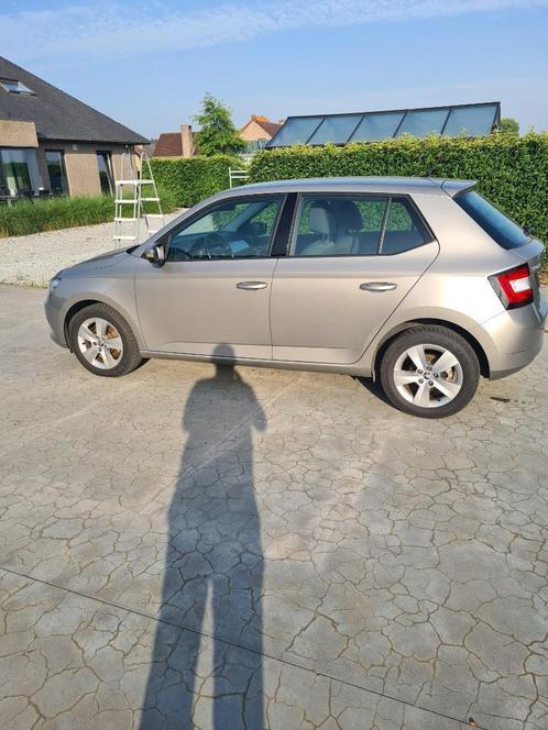 skoda fabia, Auto's, Skoda, Bedrijf, Fabia, Airconditioning, Bluetooth, Benzine, Euro 6, Stadsauto, 4 deurs, Handgeschakeld, Beige