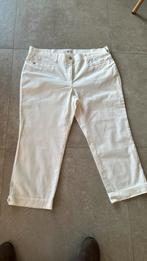 Broek braxx-wit-mt 48, Kleding | Dames, Wit, Maat 46/48 (XL) of groter, Nieuw, Ophalen of Verzenden