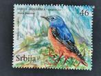 Serbie 2009 - oiseaux - Grive rouge - du feuillet, Timbres & Monnaies, Timbres | Europe | Autre, Affranchi, Enlèvement ou Envoi