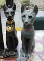 katten, Ophalen, Nieuw