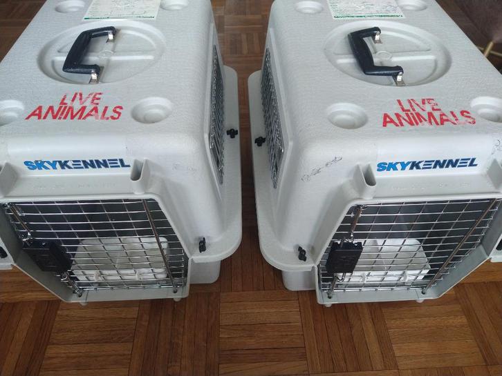 Petmate Sky Kennel 21" - Kattentransportbox - 2x, Dieren en Toebehoren, Transportboxen, Gebruikt, Ophalen