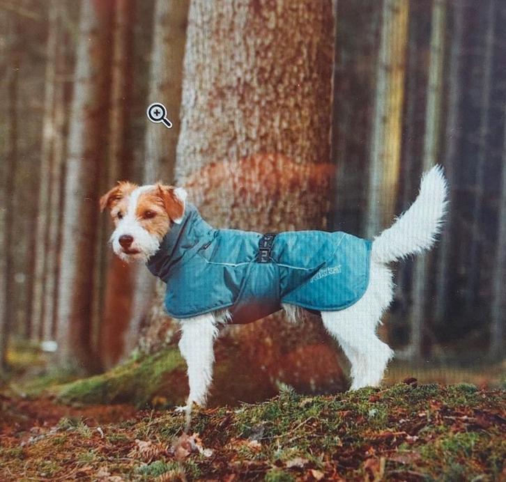 Hondenjas Rukka Stormy Coat maat 40, Dieren en Toebehoren, Hondenkleding, Hondenjas, Ophalen