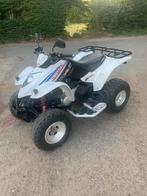 Quad 250cc Kymco Maxxer, Motoren, 1 cilinder, 250 cc