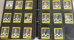 Panini KRC Genk bekerwinnaars 1997/98 compleet, Verzenden, Zo goed als nieuw, Poster, Plaatje of Sticker