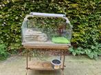 Aquarium voor waterschildpadden met toebehoren, Dieren en Toebehoren, Ophalen, Gebruikt, Leeg aquarium