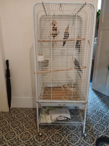 Mooie grote witte vogelkooi. Horizontale spijlen.  beschikbaar voor biedingen