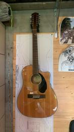 Fender semi akoestisch 12 string, Muziek en Instrumenten, Snaarinstrumenten | Gitaren | Akoestisch, Ophalen, Nieuw, Western- of Steelstringgitaar