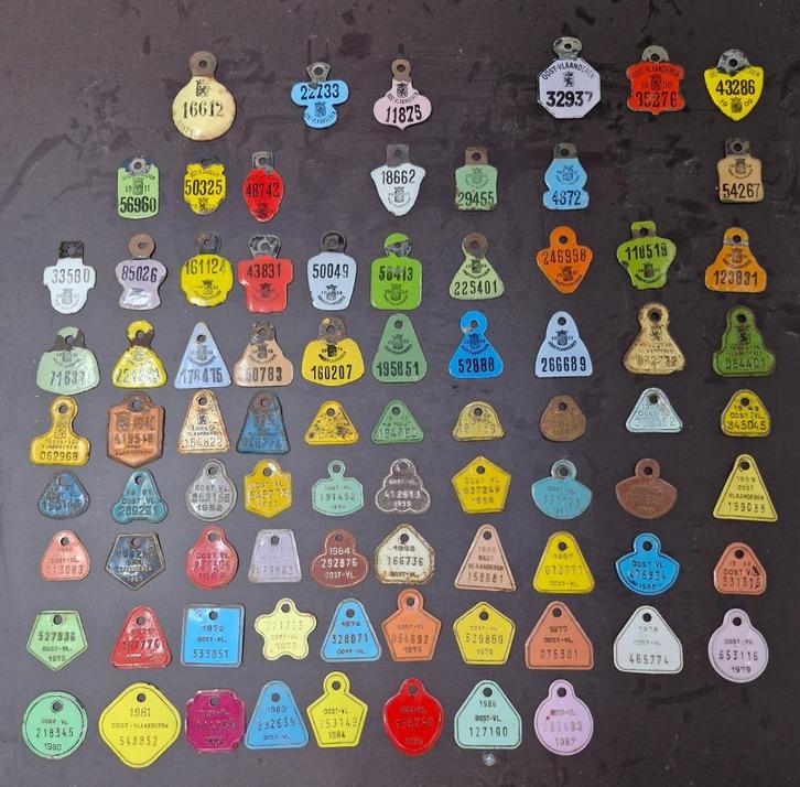 Verzameling fietsplaatjes Oost-Vlaanderen, Antiek en Kunst, Antiek | Email, Ophalen