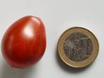 tomate cerise en forme de poire Stormin Norman - 5 graines, Jardin & Terrasse, Graine, Printemps, Envoi