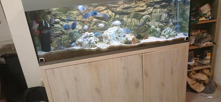 Prachtig aquarium van 3000euro 150x60x50, Dieren en Toebehoren, Vissen | Aquaria en Toebehoren, Zo goed als nieuw, Ophalen