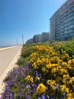 Vacances d'automne à Zeedijk Westende