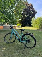 TREK Elektrische fiets - zie beschrijving VERLAAGD IN PRIJS, Ophalen, Zo goed als nieuw, 50 km per accu of meer, Overige merken