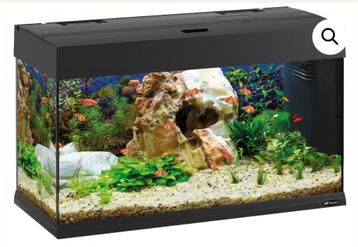 Aquarium  beschikbaar voor biedingen