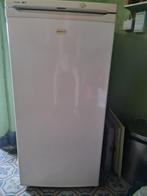 Congélateur armoire friac, Elektronische apparatuur, Vriezers en Diepvrieskisten, Gebruikt, Minder dan 60 cm, Ophalen, Vrieskast