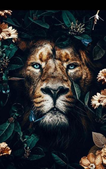 Mooie gekleurde bedrukte doek met leeuw op textiel beschikbaar voor biedingen