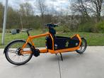 Bullitt vélo cargo électrique, Autres marques, 1 enfant, Utilisé, Électrique