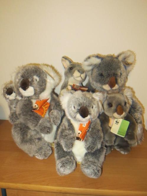 5 Knuffels - WWF: 4 koalaberen + 1 kangoeroe - knuffelberen, Enfants & Bébés, Jouets | Peluches, Neuf, Autres types, Enlèvement ou Envoi