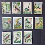 Nestlé vintage prentjes, Ophalen of Verzenden, Voor 1940, Gebruikt, Prent