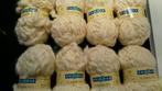 Nieuwe 8 bollen Phildar 100 procent wol, Nieuw, Ophalen of Verzenden