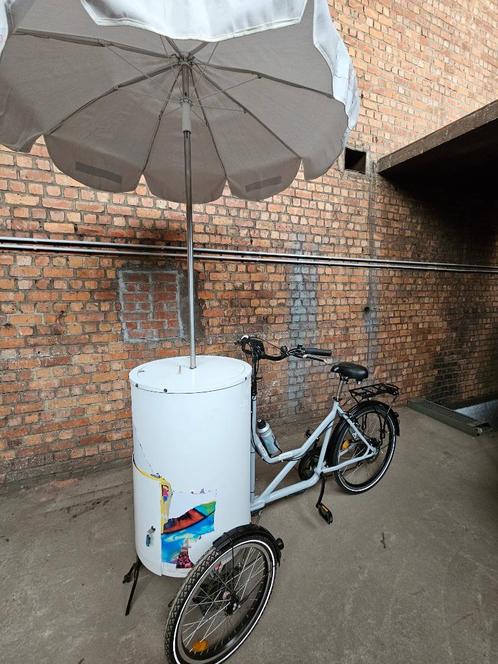 Driewieler Tonneau — batterij moet worden vervangen, Fietsen en Brommers, Elektrische fietsen, Gebruikt, Ophalen of Verzenden