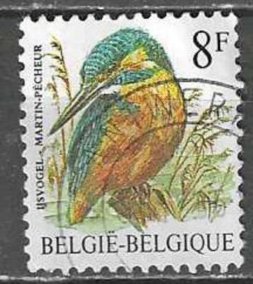 Belgie 1986 - Yvert 2237 /OBP 2240 - Buzin - IJsvogel (ST) beschikbaar voor biedingen