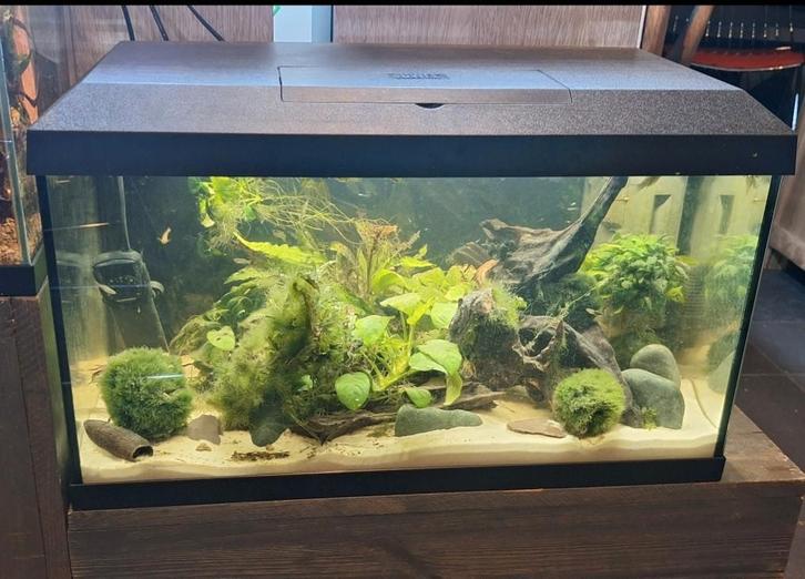 60l juwel aqua in perfecte staat, Dieren en Toebehoren, Vissen | Aquaria en Toebehoren, Ophalen