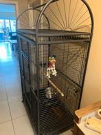 Mooie grote papegaai kooi, Dieren en Toebehoren, Ophalen