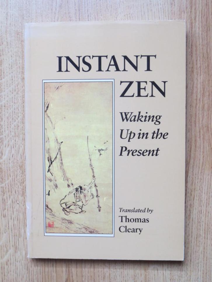 Instant Zen, Boeken, Esoterie en Spiritualiteit, Zo goed als nieuw, Ophalen of Verzenden